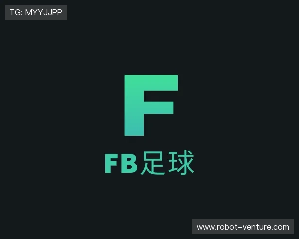 认识fb足球